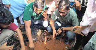 সড়কের 'নিম্নমানের কার্পেটিংয়ের কাজ' বন্ধ করে দিয়েছেন হাসনাত